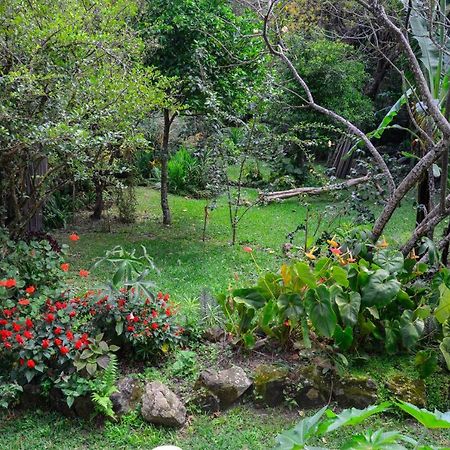 Apartmán Hospedagem Caminho Da Angelica Vale do Capao Exteriér fotografie