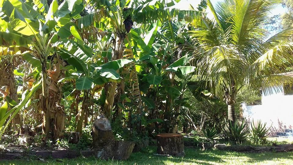 Apartmán Hospedagem Caminho Da Angelica Vale do Capao Exteriér fotografie